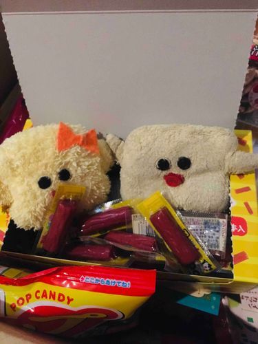 マミーが彼女つくってくれた！
ぴよこだよ！しくよろ！
［•ө•🎀］人［•ө•］