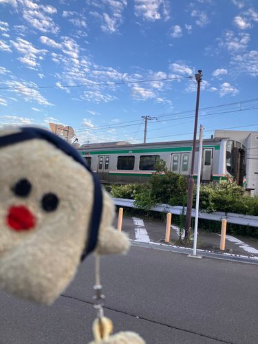 だいすきな電車見れた！！
［•ө•］ﾙﾝﾙﾝ