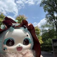 りつちゃ