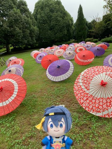秋　和傘