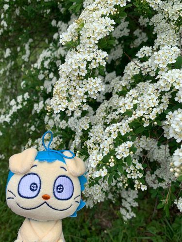 こでまりの花
