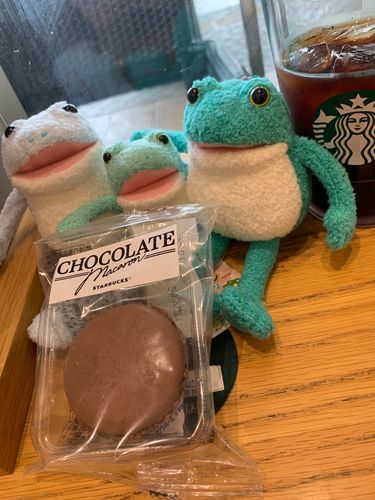 スタバとカエル🐸