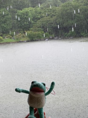 雨だあー☂️💗