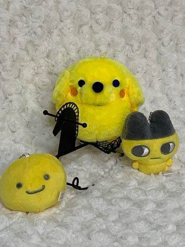 ポチっち💓