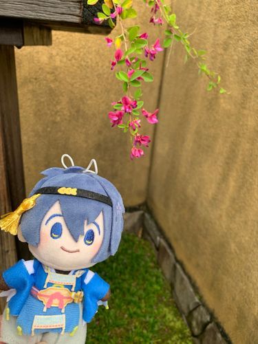 萩の花