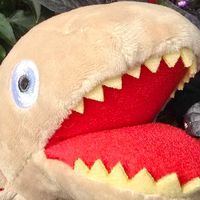 かまるくん(仮)