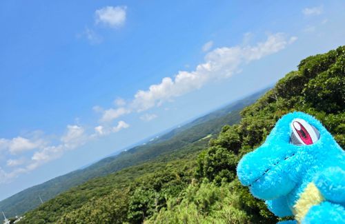 あつ～い！夏だね！