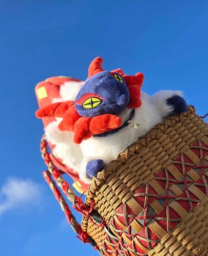 ＼ ヲ！ ／(こだいかっせい～✨)