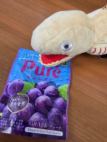 ｷﾞｭﾙｷﾞｬ~(💜)