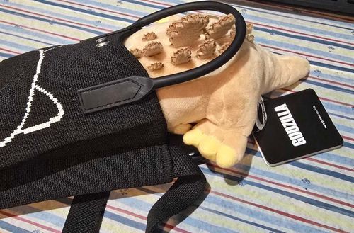 ｷﾞｭ~~‥??(👜🦖💨)