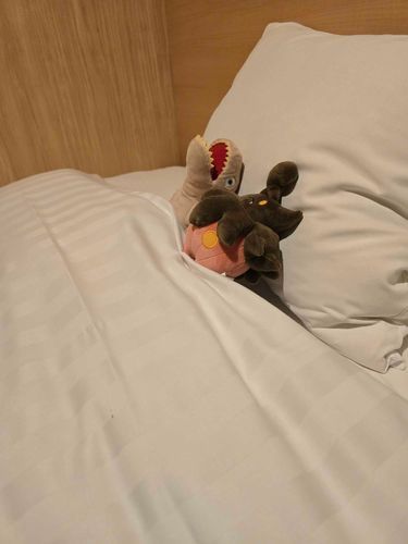 ｱｷﾞｬ~💤💤