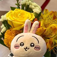 ぷるやしょうねん