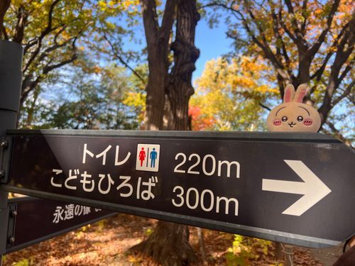 案内ご苦労
.