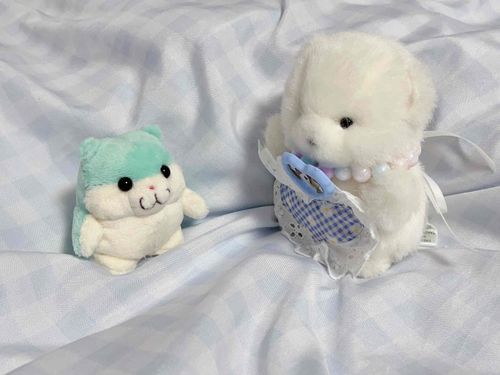 あたらし　おともだち　きたよ