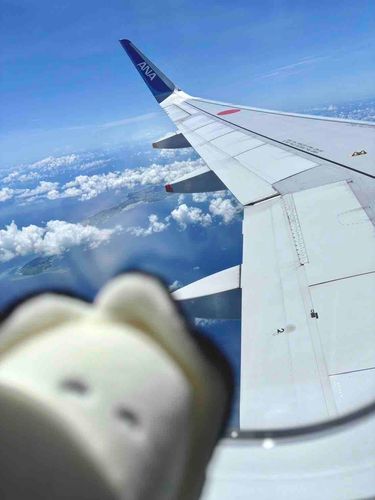 (   ᷇   ᷆  )✈️oO(なんか画質わるい……？？投稿するとガビガビになる………ガーン…………)