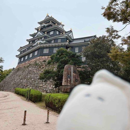 (   ᷇   ᷆  )🏯☁️oO(カキ、最近家に忘れられることが多く留守番気味だったからひさしぶりの遠出)
