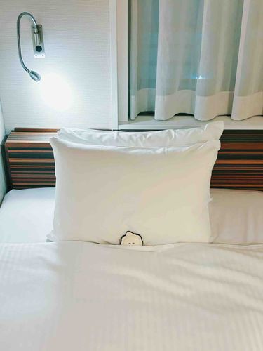 (   ᷇   ᷆  )..zzZZZ