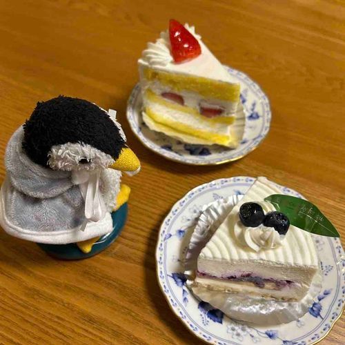 昨日はお姉ちゃんのお誕生日だったペン！おめでとペーン！！平日だったから今日パーティーをしたペン！ケーキおいしかったペン😋😋