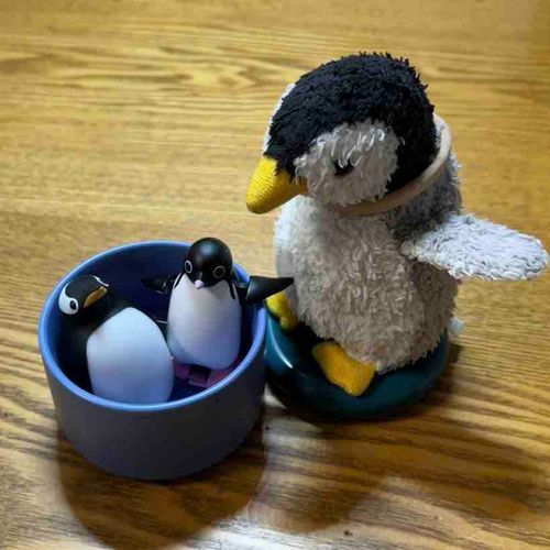 ペーン！お姉ちゃんが子分たちが入れる器を買ってきてくれたペン！
