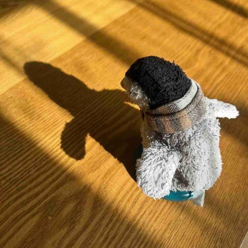ペンペンの影ペン！ペンペンに合わせて動いてきておもしろいペンね〜