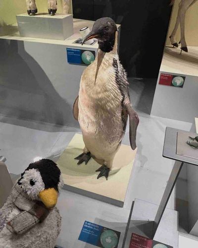 ちょっと前に、はくぶつかんっていうところに行ってきたペン！なかま見つけたからお姉ちゃんに写真をとってもらったペン！