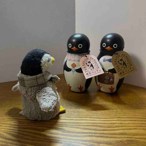 少し前にお姉ちゃんが買ってきたペン！お姉ちゃんはペンペンのえいきょうでペンギングッズが目にとまるらしいペン😚
去年のもほしかったーってなげいているペン…去年は出おくれたらしいペン