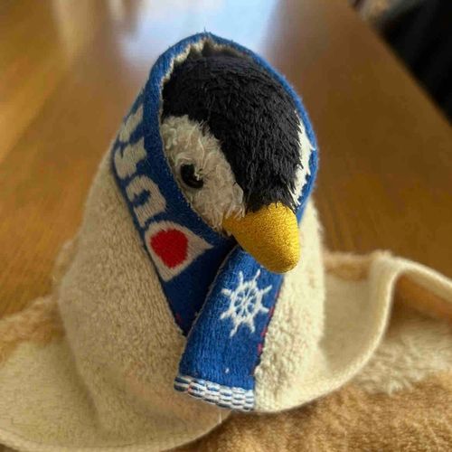 昨日久しぶりにお風呂に入れてもらったペン！水を含むとからだが重たくなるからお風呂はちょっと苦手ペン…
写真は出たあとの様子ペン！いつもこうやってハンカチにくるまって水気を吸ってもらってるペンね〜。お姉ちゃんに絞られたのが嫌でちょっといじけてるペン😂
