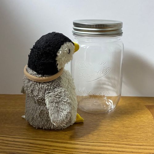 お姉ちゃんがお出かけ用の入れ物を買ってきてくれたペン！！ジャストフィットだったペン！
これでカバンの中でつぶされる心配がなくなったペン！嬉しいペン！ありがとうペン！！
