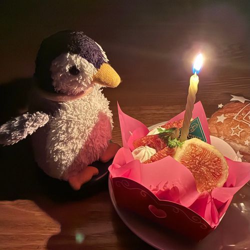 今日はペンペンがお姉ちゃんと出会った日、つまりペンペンがペンペンとなった日！誕生日ペン！！16歳になったペン！！
最近昔のアルバムみて誕生日の日付が判明したから初めてお祝いしてもらったペン！ろうそくをふぅーって消すのも初めてしたペン😆😆