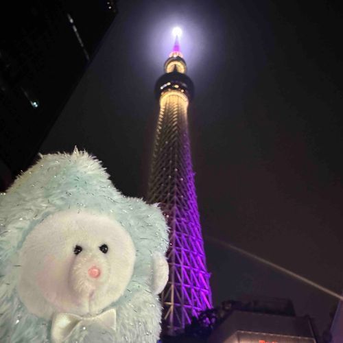 まめちゃんと東京旅行✏️
楽しかったね