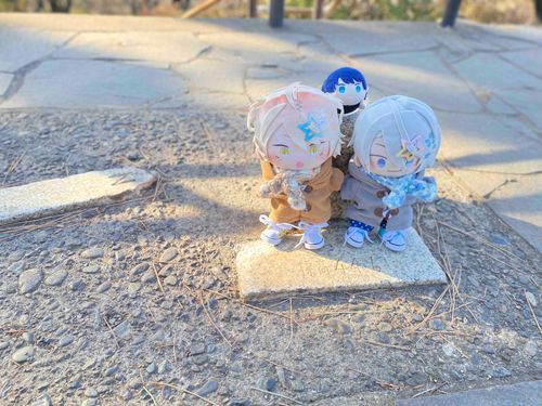 🌻「やま、のぼってきたにゃ✨✨」
🌸 「ひょーこー４４めーとるだって‼️」