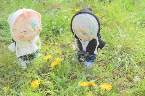 🌻「たんぽぽかわいいにゃ✨」
🌸「ねこごろしくんみたいだね💕」