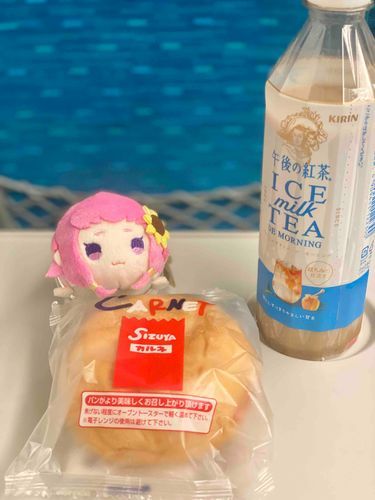京カルネ、うまかったねー