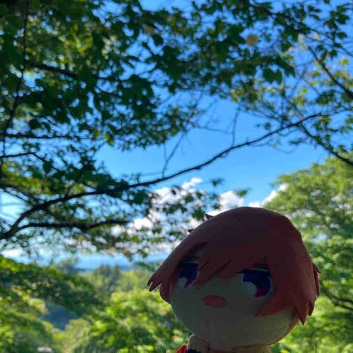 まいなすいおんってやつは、もりのあじがしたぞ