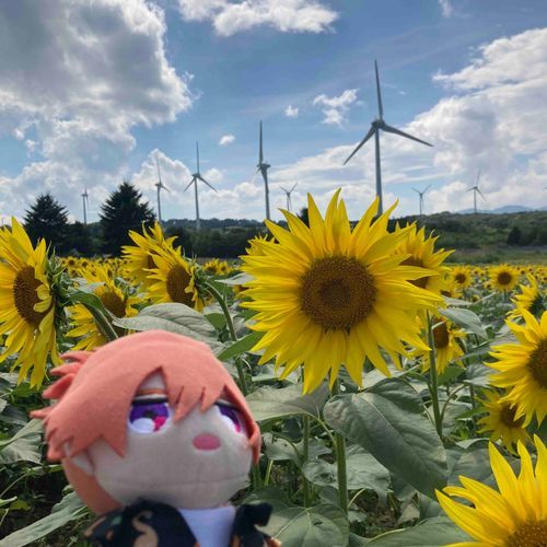 またらいねんも、みれたらいいよな。