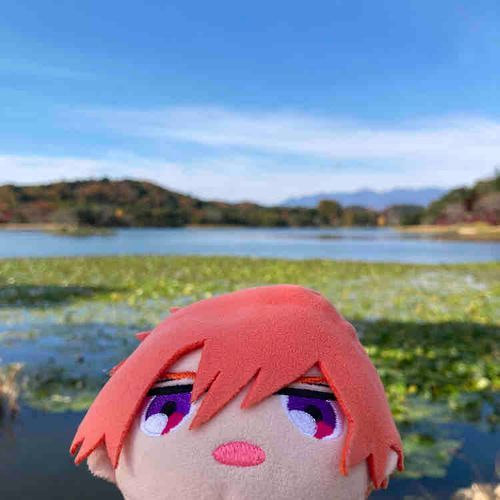 ちかくでだんごがうっててうまそうだった。