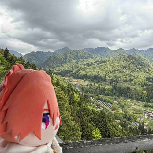たくさんのぼってたぞ、ぬしが。おれはのぼってない。