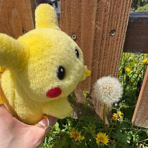 ふわふわぴ♪