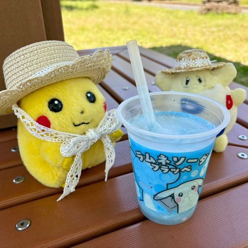 今日もいいお天気ぴ♪