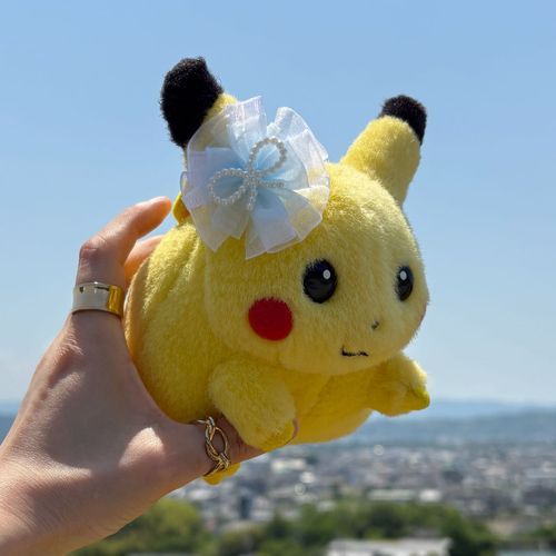 お空を飛ぶぴ！