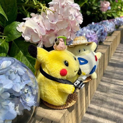 お花きれいぴ♪