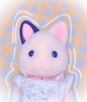 ｳﾁｬｶ