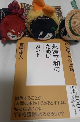 またほんをかったのか！？  いちにちにさんさつもほんをふやすなんて！