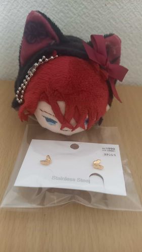 あるじがボクにピアスをくれるっていってたんだけど、ボクのからだががんじょうすぎてダメだったって