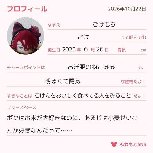ボクのプロフィールができたんだって