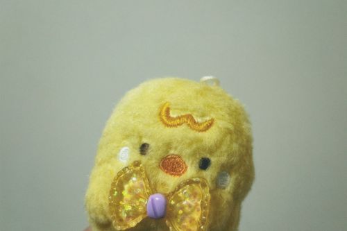 たくあんと申します,,ᴗ  ̫ ᴗ,,