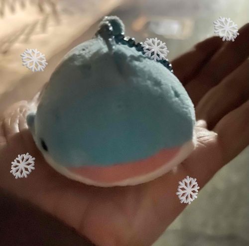お昼は あったかかったけど
夜は 少しさむいね⸜❄️⸝