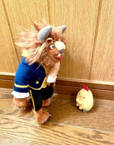 ぼくとおどってもらえませんか？
ホントはとっても優しい 野獣さんだから 大丈夫だよ♡