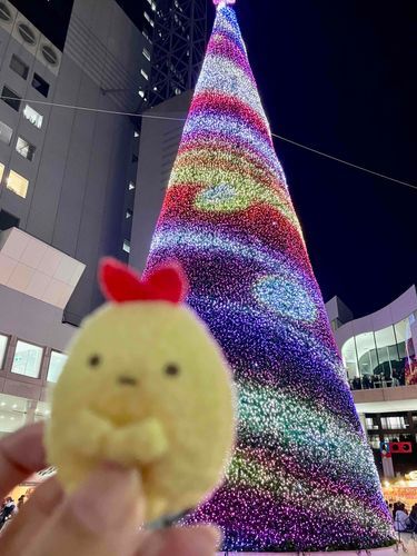 きらきら🎄.*