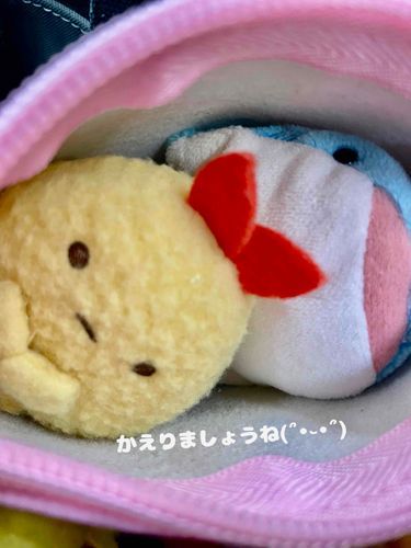 おつかれさまです(‥ )
さて みんなでおうちにかえりましょ(‥ )